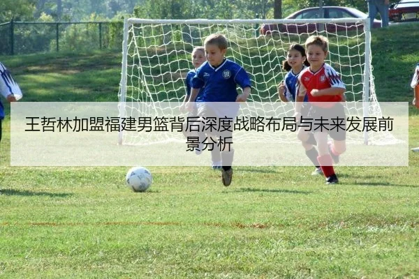王哲林加盟福建男篮背后深度战略布局与未来发展前景分析