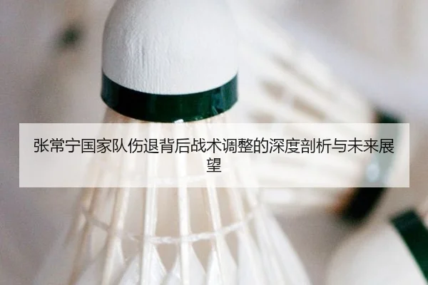 张常宁国家队伤退背后战术调整的深度剖析与未来展望