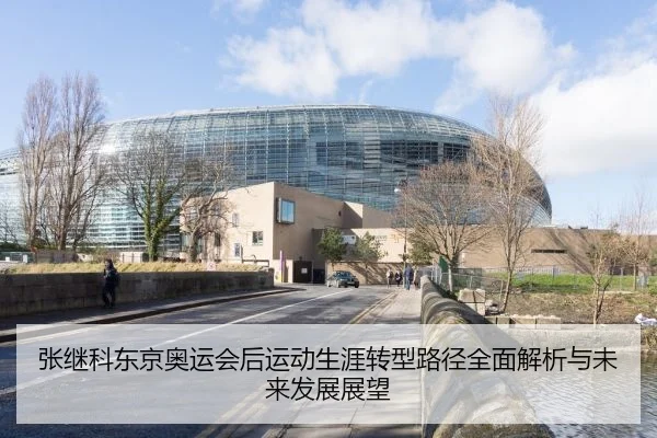 张继科东京奥运会后运动生涯转型路径全面解析与未来发展展望