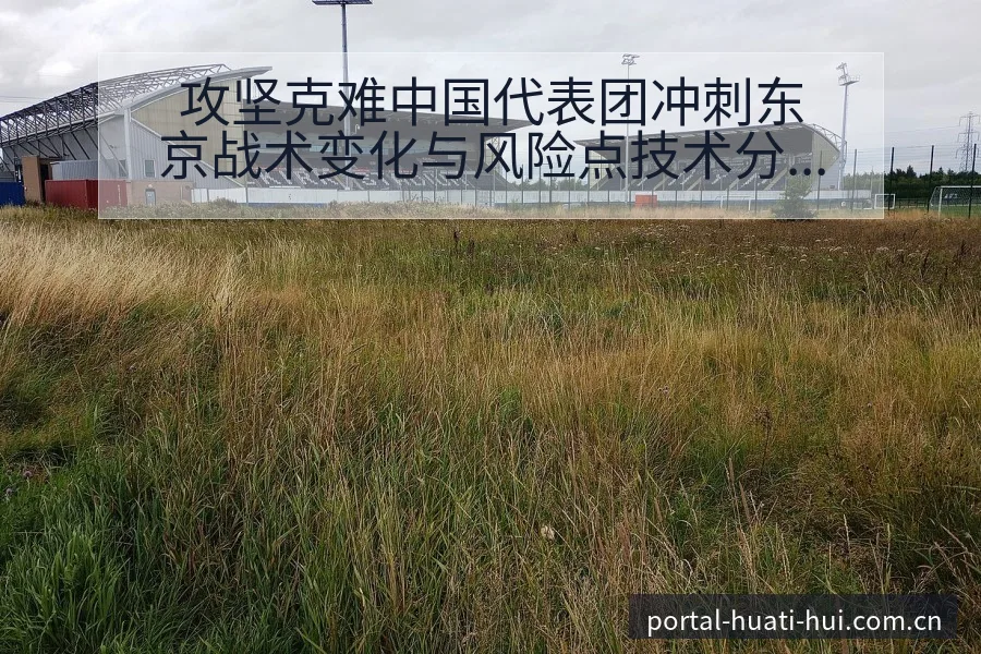 攻坚克难中国代表团冲刺东京战术变化与风险点技术分析 - 华体会