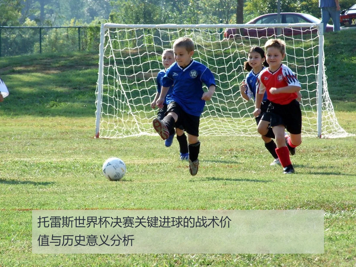 托雷斯世界杯决赛关键进球的战术价值与历史意义分析
