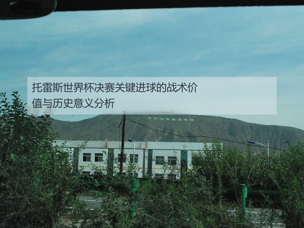 托雷斯世界杯决赛关键进球的战术价值与历史意义分析